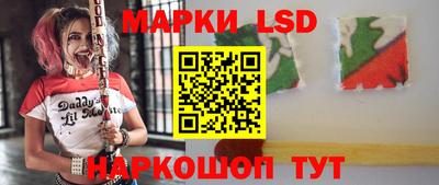 крисы Кулебаки
