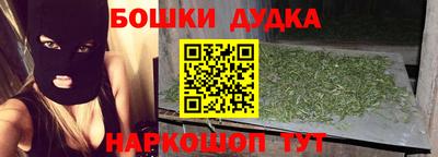 крисы Кулебаки