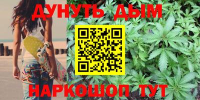 крисы Кулебаки