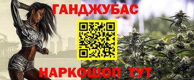 крисы Кулебаки