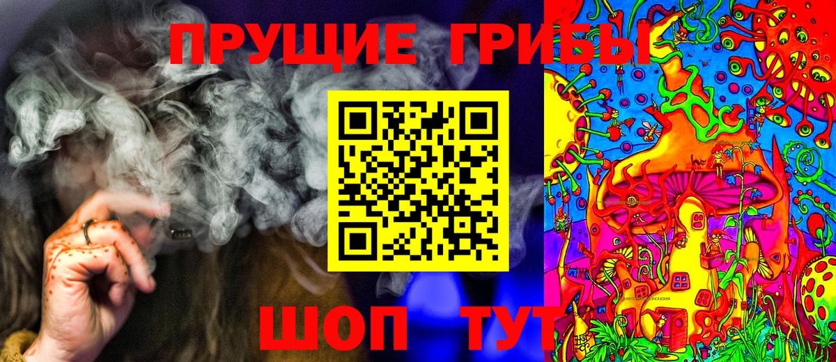 Галлюциногенные грибы прущие грибы Кинель